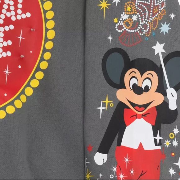 Disneyland LIGHT UP Main Street Electrical Parade Sweatshirt - Picture 5 of 7
